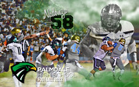 N PHS 58